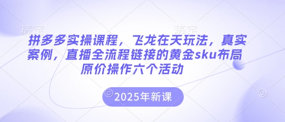 拼多多实操课程，飞龙在天玩法，真实案例，直播全流程链接的黄金sku布局原价操作六个活动-84w24