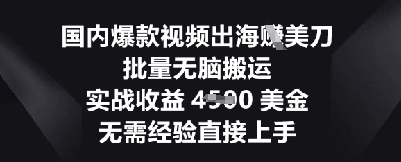 国内爆款视频出海挣美刀，批量无脑搬运，实战收益4.5k，无需经验直接上手-84w24