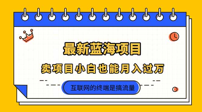 （14289期）2025年最新蓝海项目，卖项目小白也能月入过万-84w24