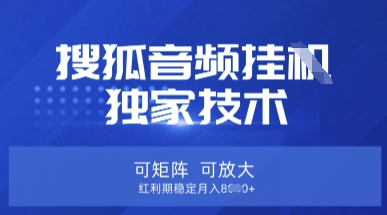 【搜狐音频挂G】独家技术，可矩阵可放大，红利期稳定月入8k【揭秘】-84w24