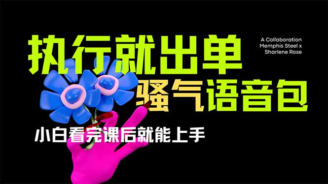（14170期）爆火全网的开车导航骚气语音包,只要执行就出单，小白看完课程就能实操…-84w24