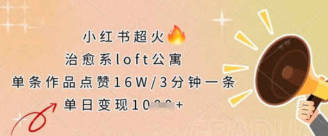 小红书超火的治愈系loft公寓，单条作品点赞16W，3分钟一条，单日变现数张-84w24