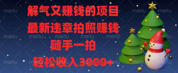 解气又挣钱的项目，最新违章拍照挣钱，随手一拍，轻松收入数张【揭秘】-84w24